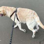 ヒメ日記 2025/08/18 12:22 投稿 しのぶ イエローキャブ