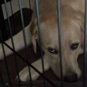 ヒメ日記 2025/09/08 12:19 投稿 しのぶ イエローキャブ