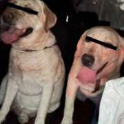 ヒメ日記 2025/09/29 12:07 投稿 しのぶ イエローキャブ