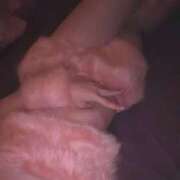 ヒメ日記 2025/10/24 14:41 投稿 しのぶ イエローキャブ