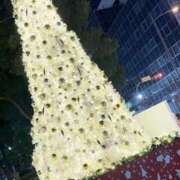 ヒメ日記 2025/12/24 13:26 投稿 しのぶ イエローキャブ