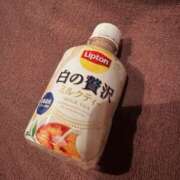 しのぶ こんにちは！ イエローキャブ