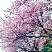 ヒメ日記 2026/02/27 13:46 投稿 しのぶ イエローキャブ