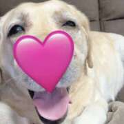 ヒメ日記 2026/03/22 16:28 投稿 しのぶ イエローキャブ