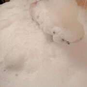 ヒメ日記 2025/09/21 21:21 投稿 川上 あずさ 妻の友人