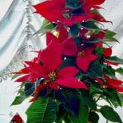 ヒメ日記 2025/11/30 12:57 投稿 こころ 完熟ばなな 立川