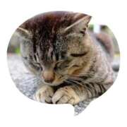 ヒメ日記 2025/12/06 01:07 投稿 こころ 完熟ばなな 立川