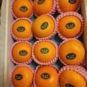 ヒメ日記 2026/03/26 22:47 投稿 こころ 完熟ばなな 立川