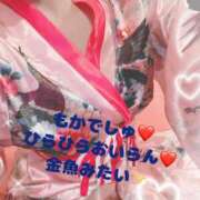 ヒメ日記 2025/04/03 20:46 投稿 もか♡悩殺Ｅ乳♡極嬢 ラヴァーズ