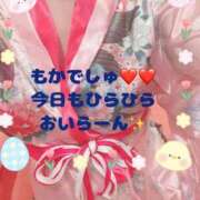 ヒメ日記 2025/06/01 12:47 投稿 もか♡悩殺Ｅ乳♡極嬢 ラヴァーズ