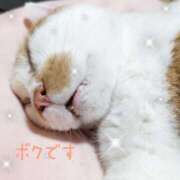 ヒメ日記 2024/12/21 00:54 投稿 じゅり 奥鉄オクテツ東京店（デリヘル市場）