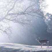 ヒメ日記 2025/01/02 10:05 投稿 じゅり 奥鉄オクテツ東京店（デリヘル市場）