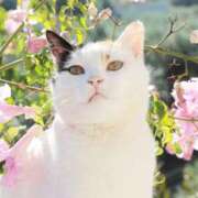 ヒメ日記 2025/04/30 09:18 投稿 じゅり 奥鉄オクテツ東京店（デリヘル市場）