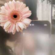 ヒメ日記 2025/05/05 00:58 投稿 じゅり 奥鉄オクテツ東京店（デリヘル市場）