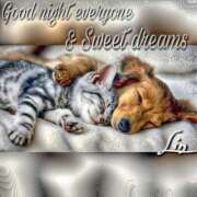 ヒメ日記 2025/05/20 00:08 投稿 じゅり 奥鉄オクテツ東京店（デリヘル市場）