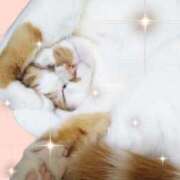 ヒメ日記 2025/05/24 13:40 投稿 じゅり 奥鉄オクテツ東京店（デリヘル市場）