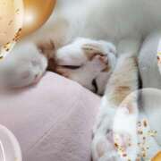 ヒメ日記 2025/07/02 13:13 投稿 じゅり 奥鉄オクテツ東京店（デリヘル市場）