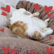 ヒメ日記 2025/07/08 14:35 投稿 じゅり 奥鉄オクテツ東京店（デリヘル市場）