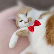 ヒメ日記 2025/07/17 11:56 投稿 じゅり 奥鉄オクテツ東京店（デリヘル市場）