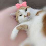 ヒメ日記 2025/07/20 10:18 投稿 じゅり 奥鉄オクテツ東京店（デリヘル市場）