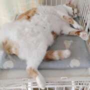 ヒメ日記 2025/07/22 00:58 投稿 じゅり 奥鉄オクテツ東京店（デリヘル市場）