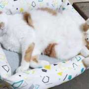 ヒメ日記 2025/07/27 09:30 投稿 じゅり 奥鉄オクテツ東京店（デリヘル市場）