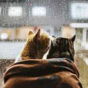 ヒメ日記 2025/09/05 14:02 投稿 じゅり 奥鉄オクテツ東京店（デリヘル市場）