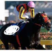 ヒメ日記 2025/10/12 22:38 投稿 じゅり 奥鉄オクテツ東京店（デリヘル市場）