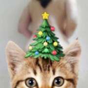 ヒメ日記 2025/11/19 19:55 投稿 じゅり 奥鉄オクテツ東京店（デリヘル市場）