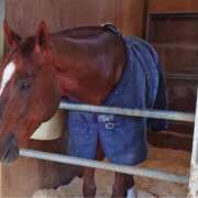 ヒメ日記 2025/12/05 21:46 投稿 じゅり 奥鉄オクテツ東京店（デリヘル市場）