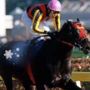 ヒメ日記 2025/12/07 13:54 投稿 じゅり 奥鉄オクテツ東京店（デリヘル市場）