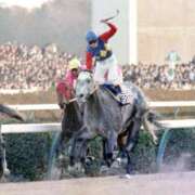 ヒメ日記 2025/12/27 06:55 投稿 じゅり 奥鉄オクテツ東京店（デリヘル市場）