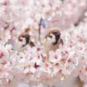 ヒメ日記 2026/03/23 08:44 投稿 じゅり 奥鉄オクテツ東京店（デリヘル市場）