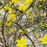 ヒメ日記 2026/04/05 10:43 投稿 じゅり 奥鉄オクテツ東京店（デリヘル市場）