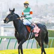 ヒメ日記 2026/04/12 14:03 投稿 じゅり 奥鉄オクテツ東京店（デリヘル市場）