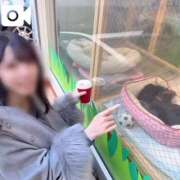 ヒメ日記 2025/03/06 00:23 投稿 ももえ ウルトラホワイト