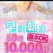 ヒメ日記 2025/04/24 12:04 投稿 ももえ ウルトラホワイト