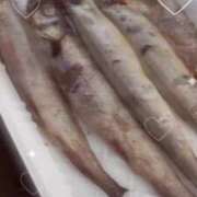 ヒメ日記 2025/06/22 23:10 投稿 ももえ ウルトラホワイト