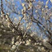 ヒメ日記 2025/02/26 17:21 投稿 まりん スピードエコ日本橋店