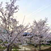 ヒメ日記 2025/03/19 19:19 投稿 まりん スピードエコ日本橋店