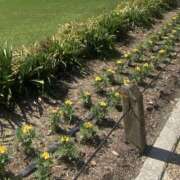 ヒメ日記 2025/03/20 18:09 投稿 まりん スピードエコ日本橋店