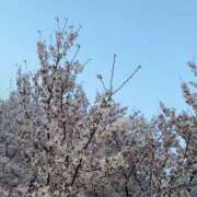 ヒメ日記 2025/03/23 20:09 投稿 まりん スピードエコ日本橋店