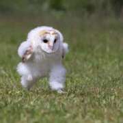 ヒメ日記 2025/03/24 04:49 投稿 まりん スピードエコ日本橋店