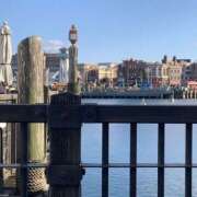 ヒメ日記 2025/03/26 19:19 投稿 まりん スピードエコ日本橋店