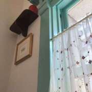 ヒメ日記 2025/04/02 17:49 投稿 まりん スピードエコ日本橋店