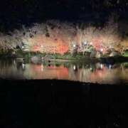 ヒメ日記 2025/04/26 17:19 投稿 まりん スピードエコ日本橋店