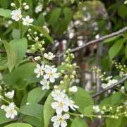 ヒメ日記 2025/05/18 15:49 投稿 まりん スピードエコ日本橋店