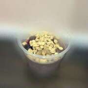 ヒメ日記 2025/05/24 12:19 投稿 まりん スピードエコ日本橋店