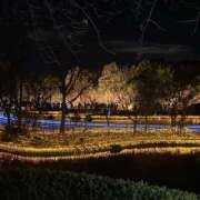 ヒメ日記 2025/05/25 18:29 投稿 まりん スピードエコ日本橋店