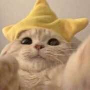 ヒメ日記 2025/05/26 16:29 投稿 まりん スピードエコ日本橋店